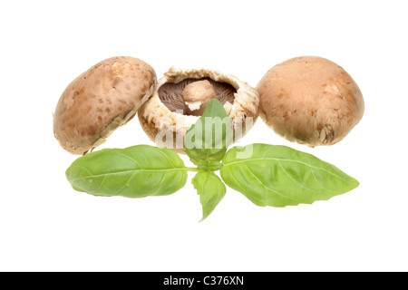 Portabella Pilze und frische Basilikumblätter Kraut isoliert auf weiss Stockfoto