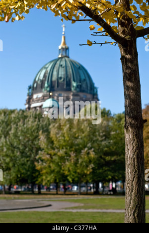 der Berliner Dom hinter grünen Bäumen im park Stockfoto