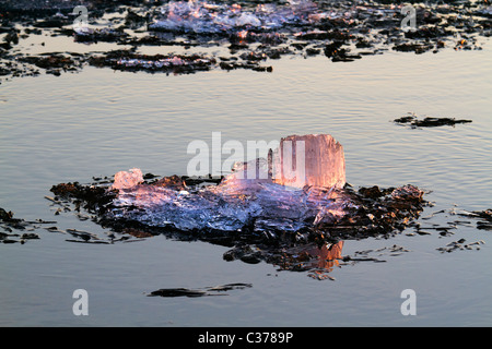 Eis-Drift am sibirischen Fluss Irtysch unter Sonnenuntergang Stockfoto