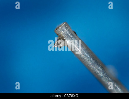 Diamantnadel Stift von einer analogen Vinyl-Plattenspieler Stockfoto