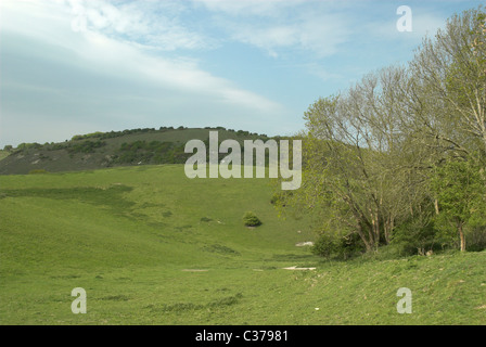 Ackerland-Szene in der Nähe von Sommer Down und Teufels Deich in der South Downs National Park. Stockfoto