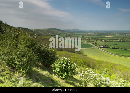 Blick nach Westen entlang der Böschung des Fulking in der South Downs National Park, West Sussex. Stockfoto