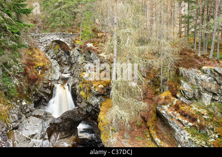 Falls Bruar, Bruar, in der Nähe von Blair Atholl, Perth und Kinross, Schottland, Großbritannien. Stockfoto