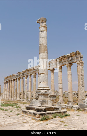 Votiv Spalte im nördlichen Abschnitt der majestätischen Colonnaded Straße von der alten Stadt von Apameia. Stockfoto