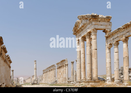 Der majestätische Colonnaded Straße der alten Stadt von Apameia Syrien Stockfoto