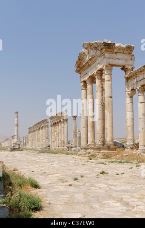 Der majestätische Colonnaded Straße der alten Stadt von Apameia Syrien Stockfoto