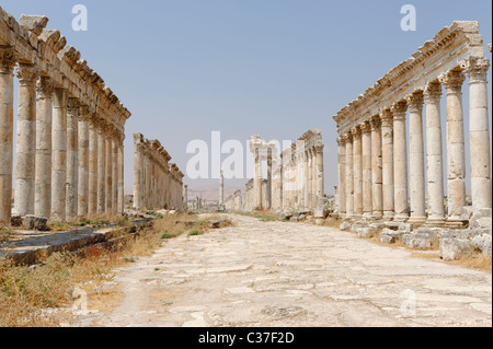 Der majestätische Colonnaded Straße der alten Stadt von Apameia Syrien Stockfoto