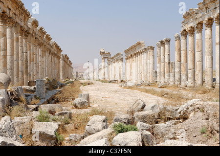 Die majestätischen Colonnaded Straße der alten Apameia in Syrien. Stockfoto