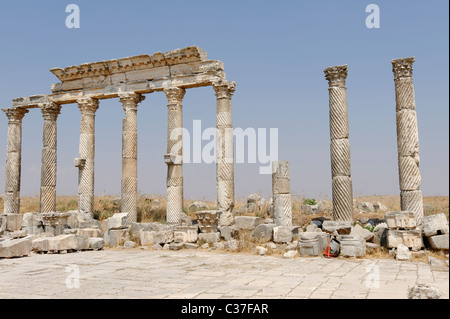 Ansicht der Spalten entlang der Colonnaded Straße markiert mit einem tiefen Riffeln, einzigartig in der antiken Stadt Apameia Korkenzieher verdrehen. Stockfoto