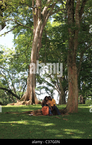 Schöner Garten mit paar sitzt in Sri Lanka Asien Stockfoto