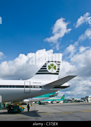 Aer Lingus Airbus A320 gemalt in der ehemaligen 1960er Jahren irische internationale Livree, seinen 75. Geburtstag am 27. Mai 2011 markieren Stockfoto