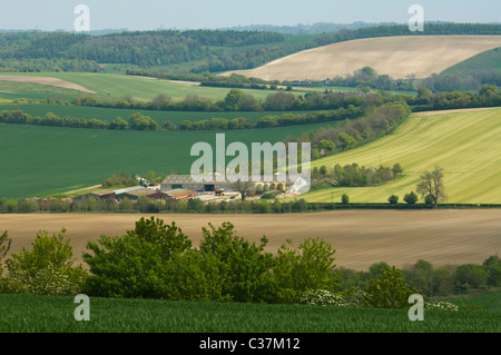 Blick auf Ackerland in der malerischen Hügellandschaft, Meon Valley, Hampshire, Großbritannien Stockfoto