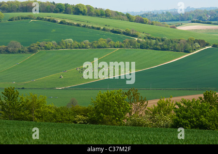 Blick auf Ackerland in der malerischen Hügellandschaft, Meon Valley, Hampshire, Großbritannien Stockfoto