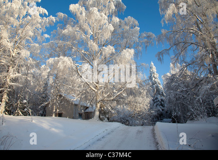Leere Waldstraße in der finnischen Landschaft, Finnland Stockfoto