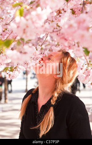 Frau unter japanischen Kirschbaum Stockfoto