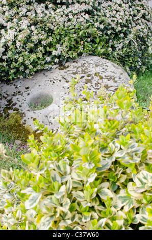 Alte Mühle Stein liegend unter Sträuchern in der Stadt der Diss, East Anglia, England, UK Stockfoto