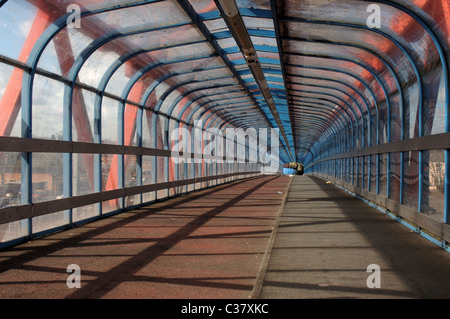 Tony Carter Zyklus Brücke in Cambridge, UK. Aufgeführt im Guinness Buch der Rekorde als als die längste überdachte Zyklus Brücke gebaut Stockfoto