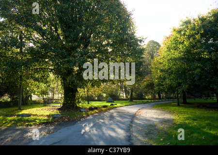 Riverside Fußweg in Lostwithiel, führt zu der kornischen Stadt Fowey. Cornwall. Ufer des Flusses ist Bestandteil der Flussaue). Stockfoto