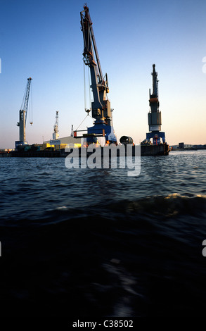 Süd-West Terminal am Kranhöft im deutschen Hafen von Hamburg. Stockfoto