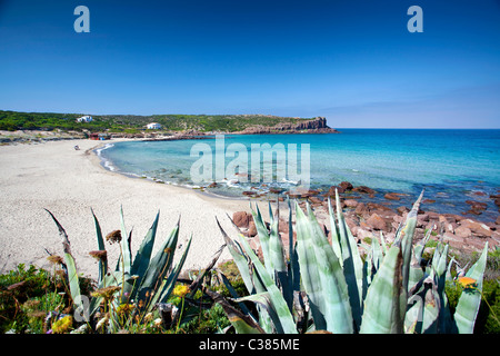 Dello Cala Spalmatore, La Caletta, Carloforte (CI), Sardinien, Italien, Europa Stockfoto