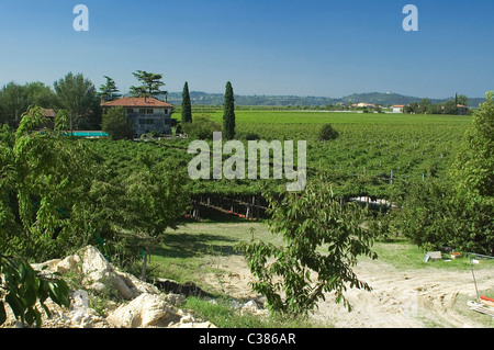 San Pietro in Cariano, Valpolicella, Verona, Veneto, Italien, Europa Stockfoto