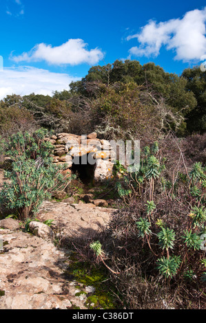 Coili Sa Bovida, Schafstall, basaltischen Hochebene Giara di Gesturi, Marmilla, Provinz Medio Campidano, Sardinien, Italien Stockfoto