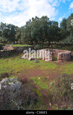 Coili Sa Bovida, Schafstall, basaltischen Hochebene Giara di Gesturi, Marmilla, Provinz Medio Campidano, Sardinien, Italien Stockfoto