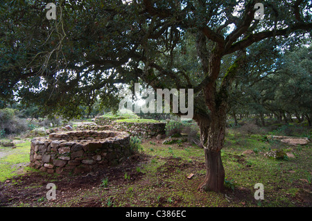 Coili Sa Bovida, Schafstall, basaltischen Hochebene Giara di Gesturi, Marmilla, Provinz Medio Campidano, Sardinien, Italien Stockfoto