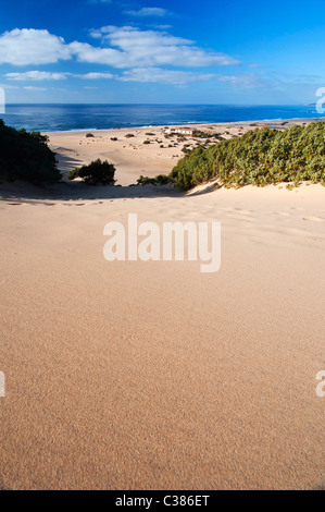 Dünen, Strand Piscinas, Provinz Medio Campidano, Arbus, Sardinien, Italien, Europa Stockfoto