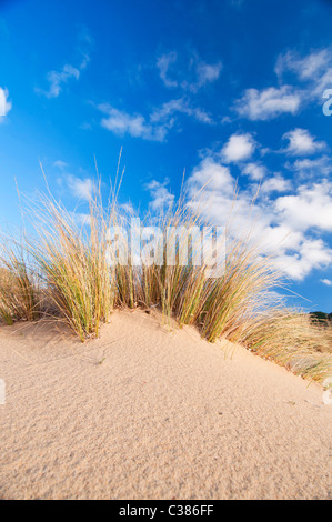 Dünen, Strand Piscinas, Provinz Medio Campidano, Arbus, Sardinien, Italien, Europa Stockfoto