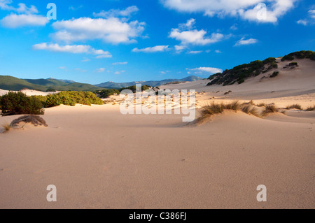 Dünen, Strand Piscinas, Provinz Medio Campidano, Arbus, Sardinien, Italien, Europa Stockfoto