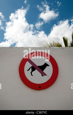 Keine Hunde erlaubt Zeichen auf einer weißen Wand Fuerteventura Kanarische Inseln Stockfoto