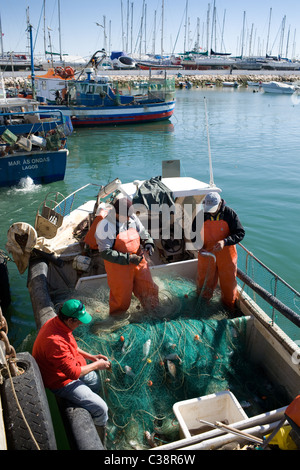 Entfernen Männer fangen Fische aus Netzen am Fischerhafen in Lagos, Portugal, Algarve Stockfoto