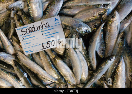 Frische Sardinen zum Verkauf auf dem Markt in Lagos, Algarve, Portugal Stockfoto