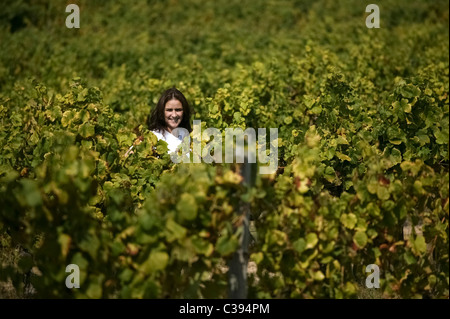 Porträt der jungen Frau inmitten von Weinberg Blätter Stockfoto