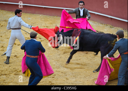 Stockfoto