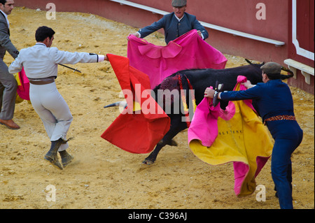 Stockfoto