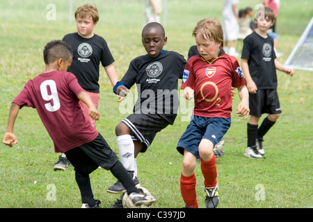 Interracial schwarze jungen Alter von 9 Jahren Fußball spielen mit weißen Jungen. St Paul Minnesota MN USA Stockfoto