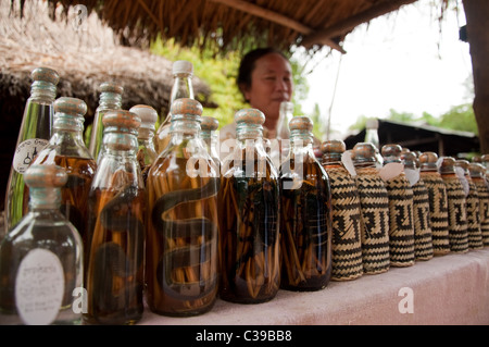 Schlangen und Skorpione in Reis-Whisky in einem Dorf der Fluss Mekong in Laos erhalten Stockfoto