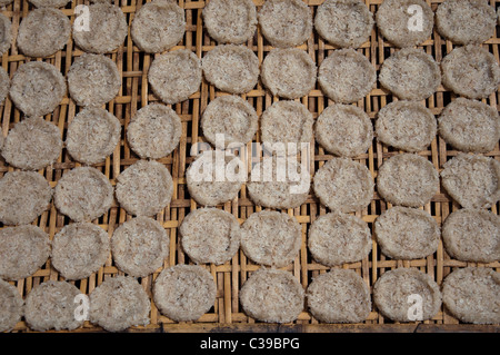 Klebreis Kuchen trocknen in der Sonne in Luang Prabang in Laos Stockfoto