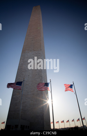 Das Washington Monument auf der National Mall in Washington, DC, umgeben von amerikanischen Flaggen Stockfoto