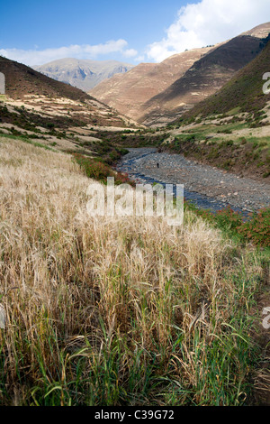 Das Mesheba-Tal in den Simien-Bergen Stockfoto