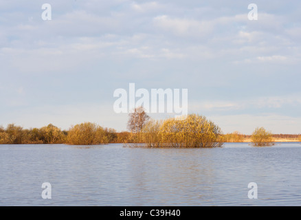 Suur-Emajõgi Fluss Stockfoto