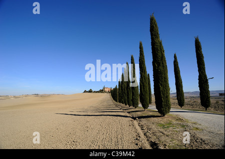 Italien, Toskana, Val d'Orcia, Agriturismo Poggio Covili Stockfoto