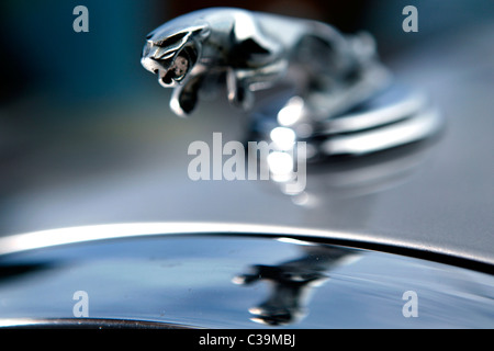 Im Bild: Jaguar Automobil Firma emblem Stockfoto