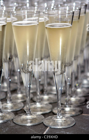 Glas Sekt Stockfoto