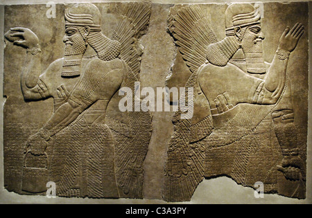 Mesopotamische Kunst. Neo-assyrischen. Relief Paneele Darstellung zwei schützende geflügelter Genius. Zwischen 883-859 v. Chr. datiert. Nimrud. Stockfoto