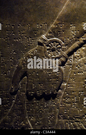 Mesopotamische Kunst. Neo-assyrischen. Relief Paneele Darstellung zwei schützende geflügelter Genius. Detail. Hand. Zwischen 883-859 v. Chr. datiert. Stockfoto