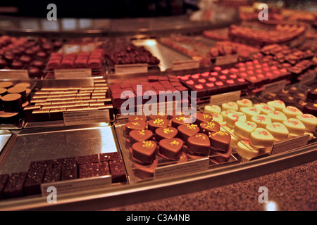 Swiss handgemachte-Schokolade auf dem Display in einem chocolatier-shop Stockfoto
