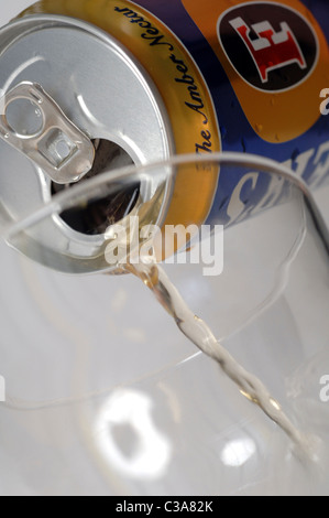 anschauliches Bild von Fosters Lager. Stockfoto